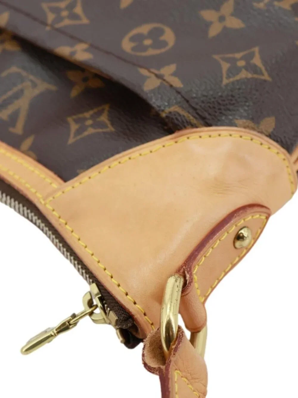 Louis Vuitton item details